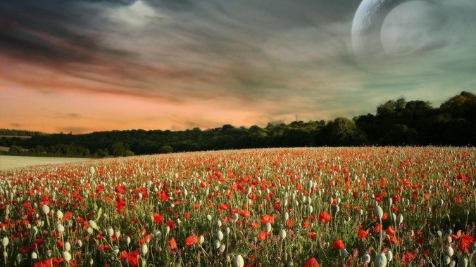 宿州谓她晓股份有限公司